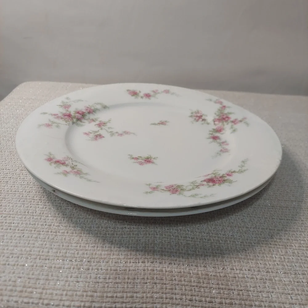 ANTIQUE Theodore Haviland Limoges France Patent Applied 2 Dinner‎ Plates Floral